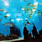아파트 Comfort Relax & Explore Vasco Da Gama, Expo