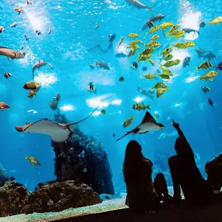 Lejlighed Comfort Relax & Explore Vasco Da Gama, Expo